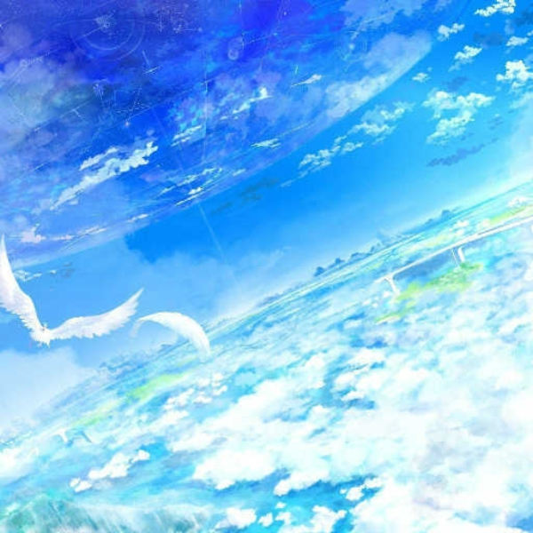 soar
