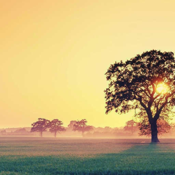 solitude