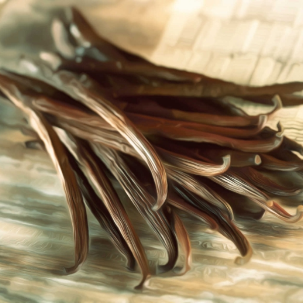 Vanilla