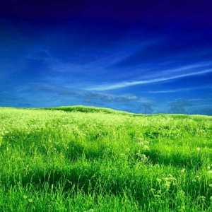 Somewhere Beyond Here