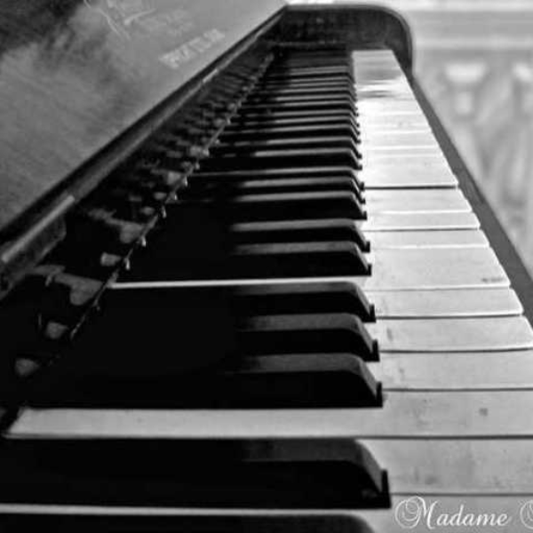Sound of Silence