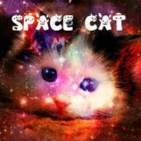 Space Cat
