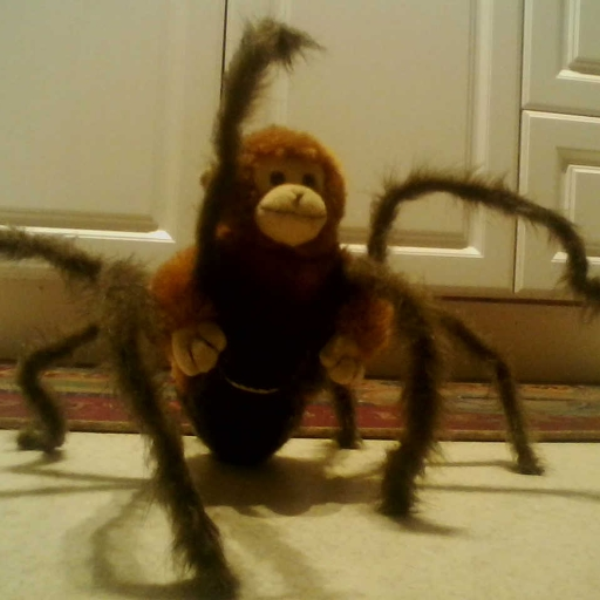 Spider Monkey