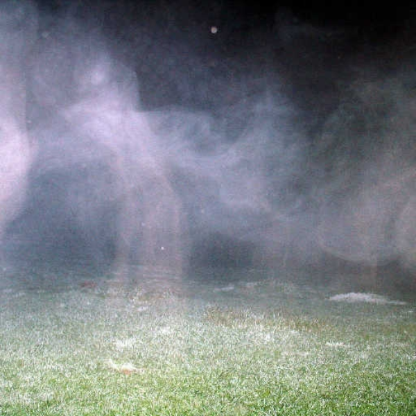 Spirits
