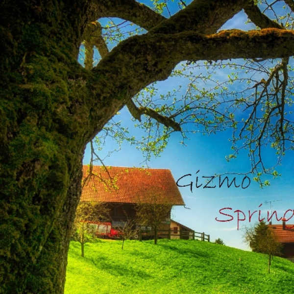 Spring