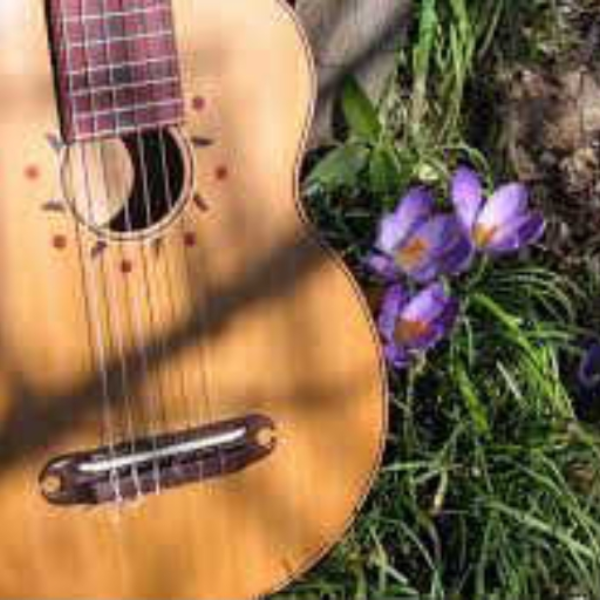 spring guitar