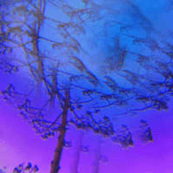 springʞɐǝɹq