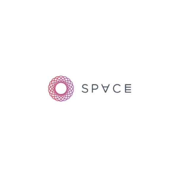 SPVCE - Does It Feel Electric