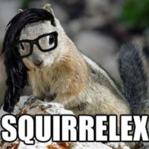 SQUIRRELWAX