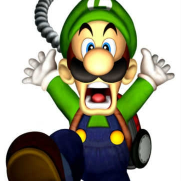 ssbb Luigi's mansion remix