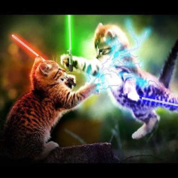 Starcats