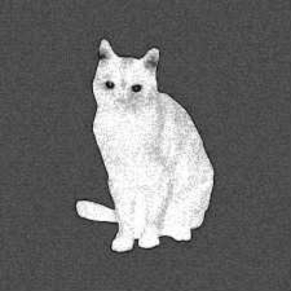 stare into the eyes of a bombay cat.net