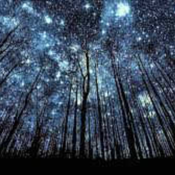 stargazing