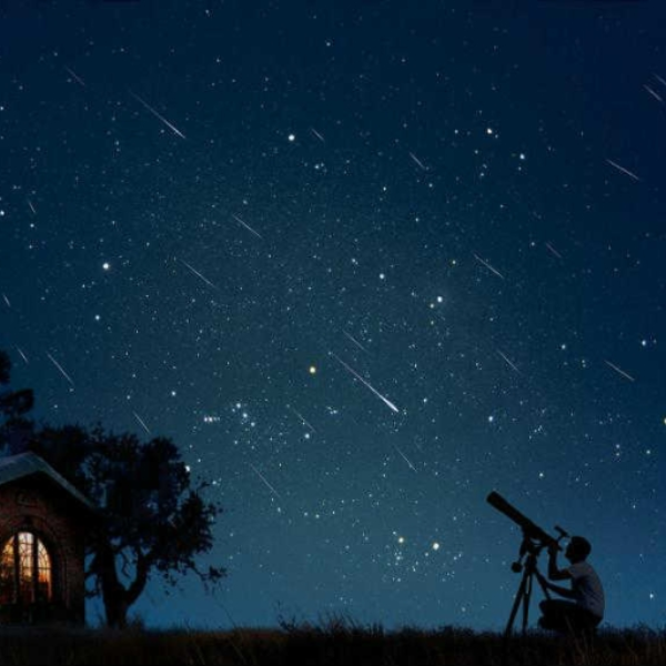 Stars
