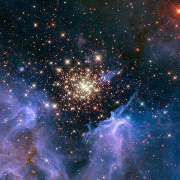 Stars