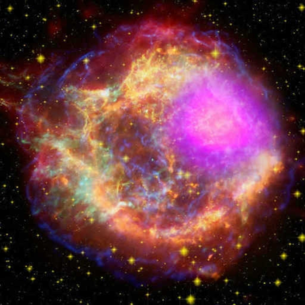 Stellar magnetic field