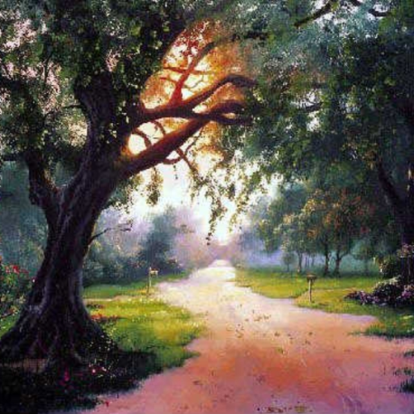 Ambient