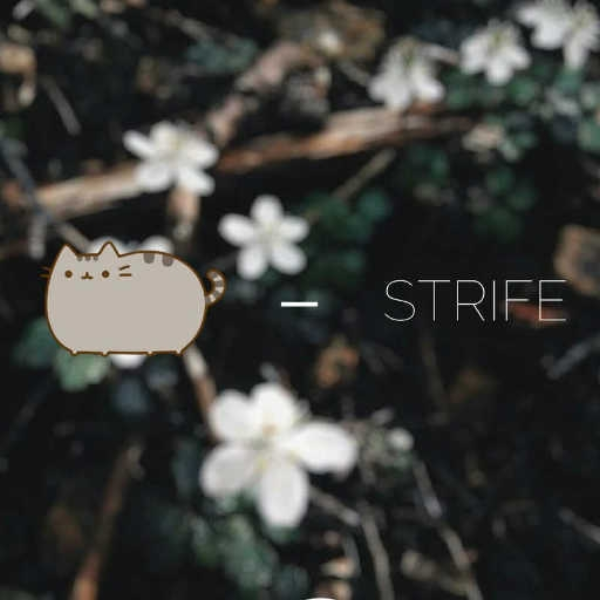strife (herlufsew remix)
