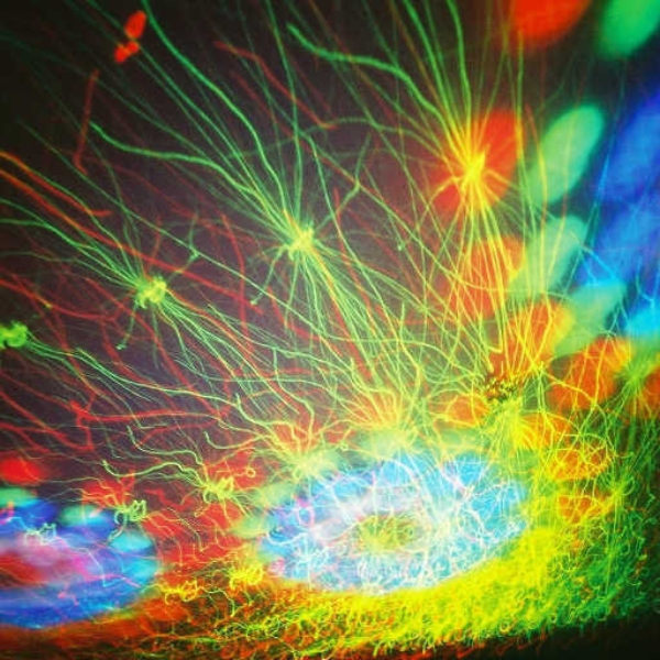 Strobelights