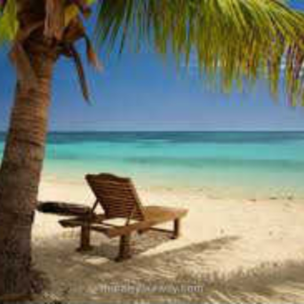Summer Breeze