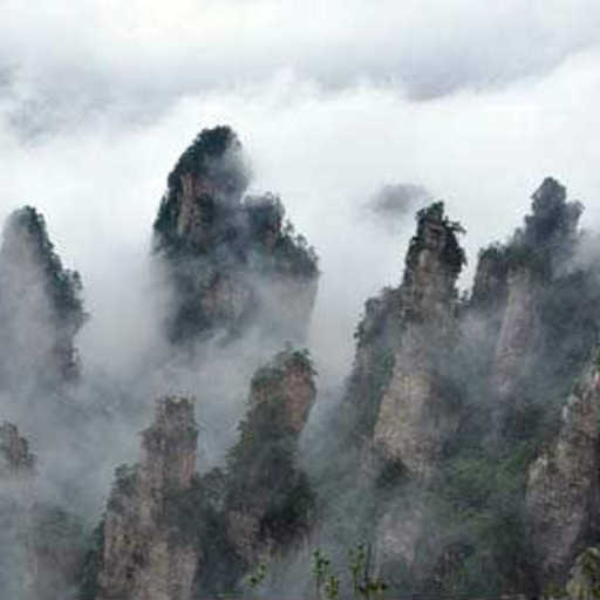 Summer Mist