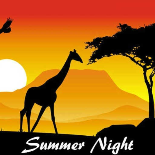 Summer Night (Somalia George X MSFT4Ever)