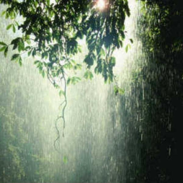 Summer Rains