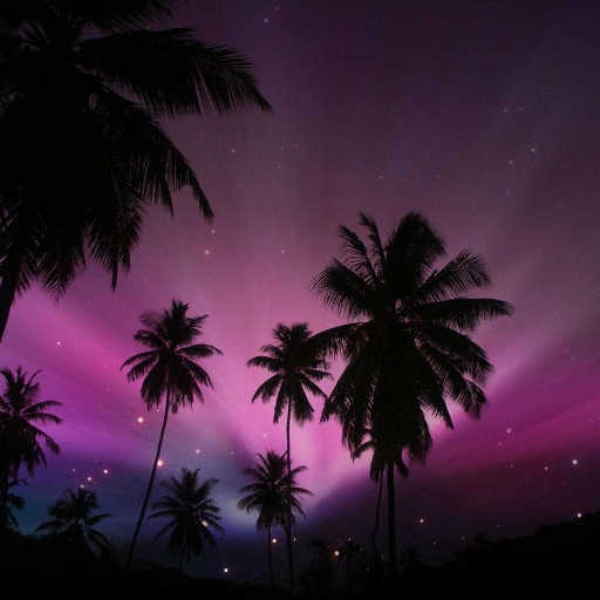 Sunday Night Light