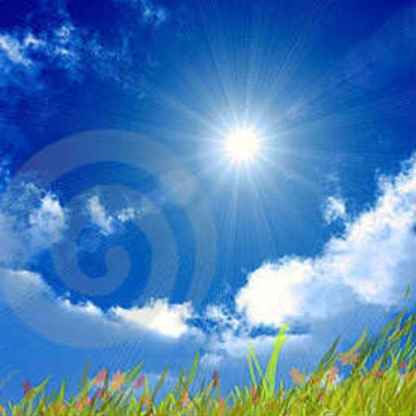Sunny Day!