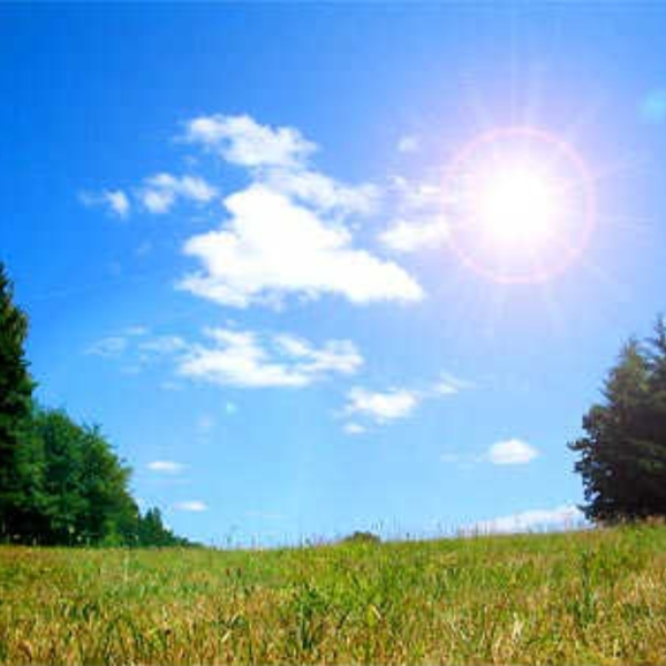 Sunny Days