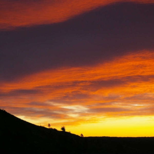 Sunrise (William Cates and Original)