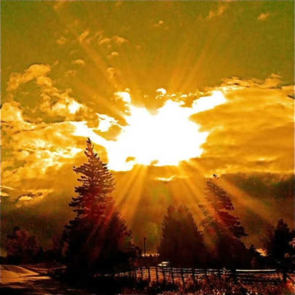 sunshine