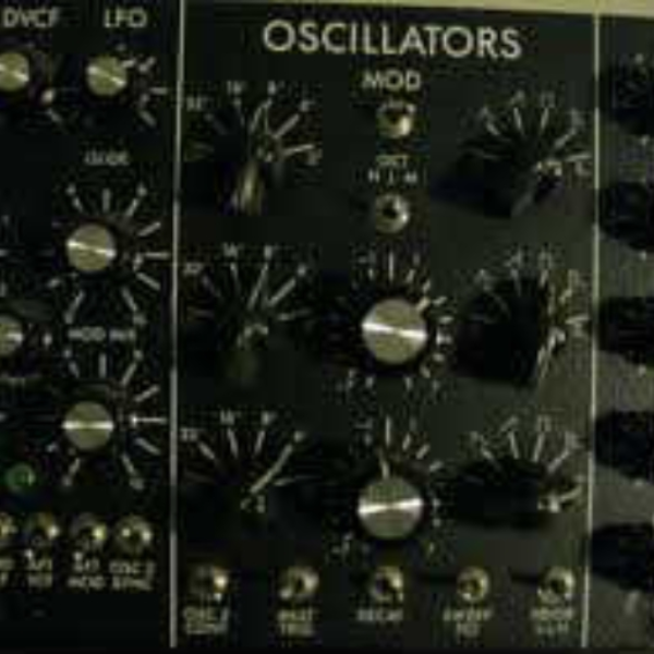 Suzlukla (MoogSynthesizer Remix)