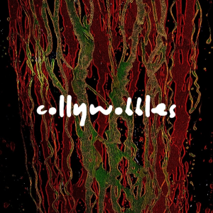 COLLYWOBBLES
