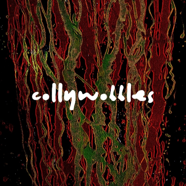 COLLYWOBBLES