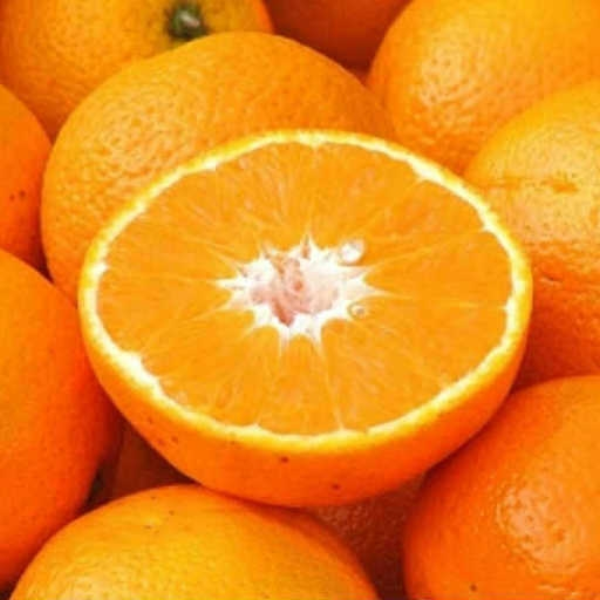 Sweet Oranges (Remix)