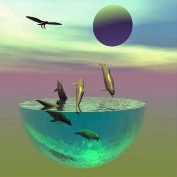 Swim