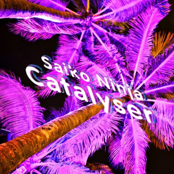 Catalyser