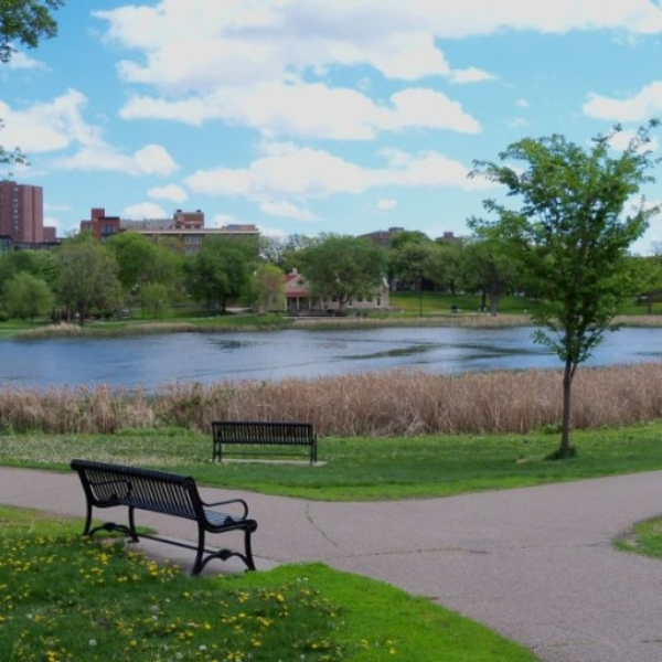 the park