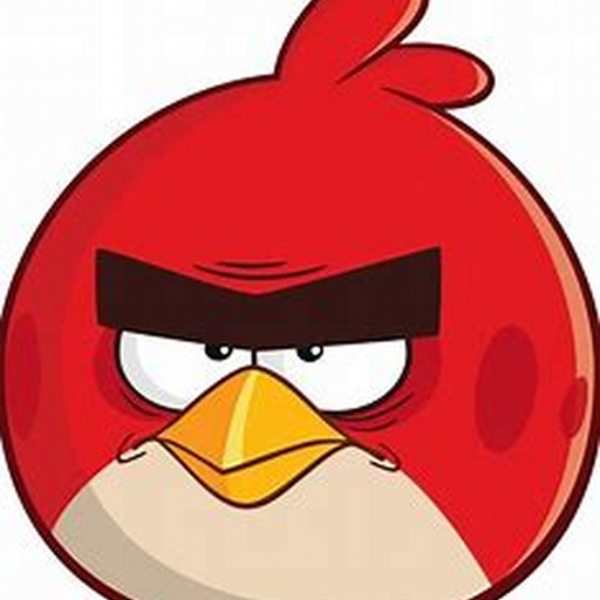 Angry birds trap