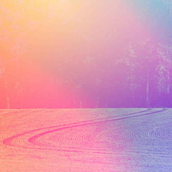 Open land