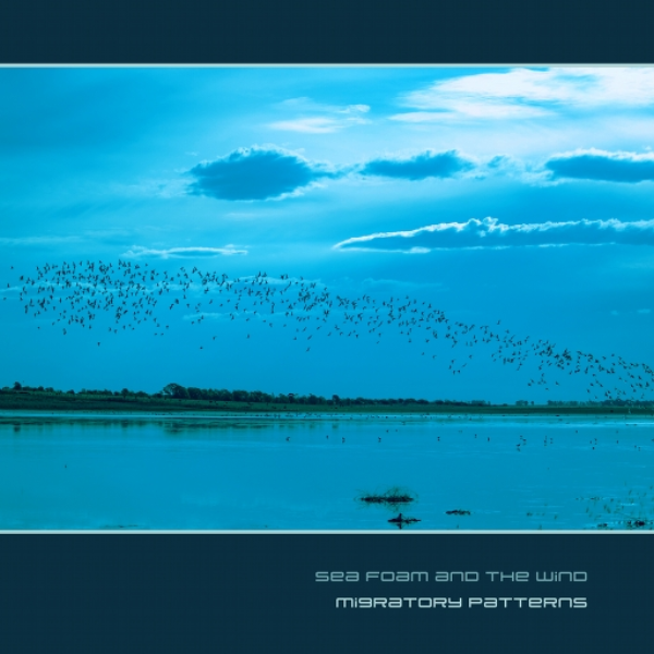 migratory patterns