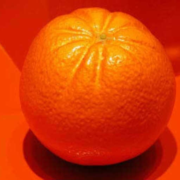 Tangerine
