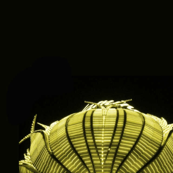 TenorIzer