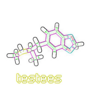Testees (Original Mix)