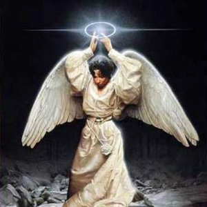 the 808 angels