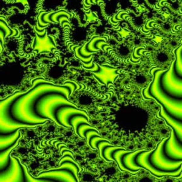 The Acid Truth
