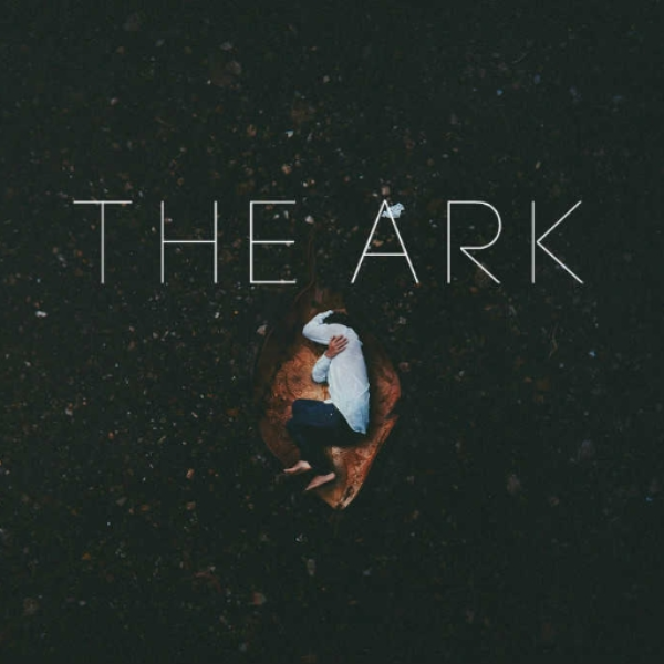 The Ark