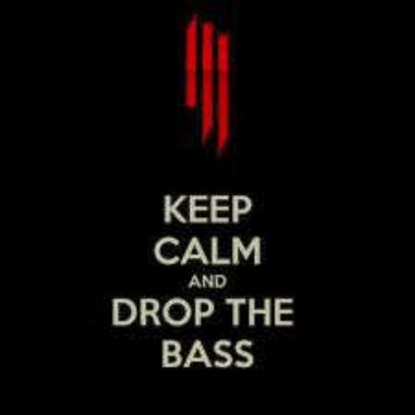 The Bass was So Heavy, I had to Drop It