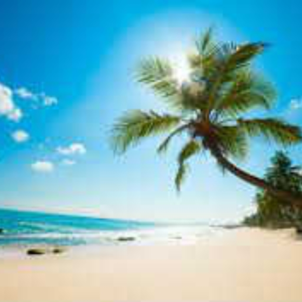 The Beach
